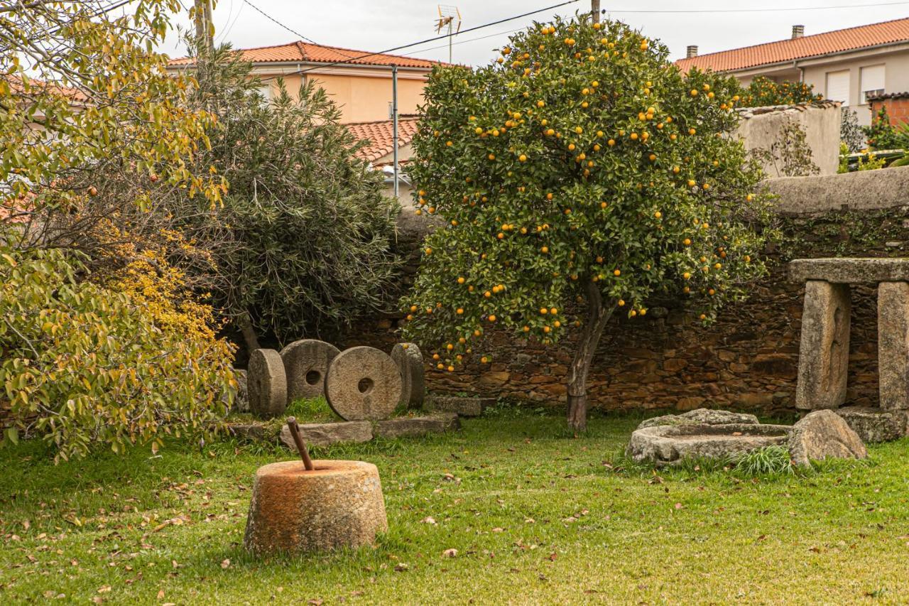 Hotel Don Julio à Perales del Puerto Extérieur photo
